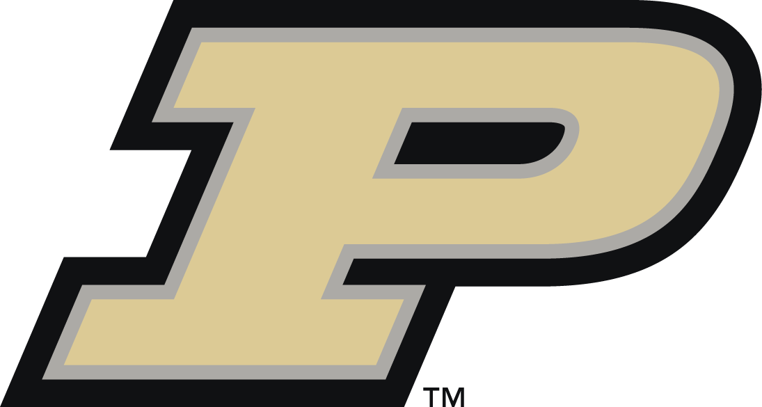 Purdue Boilermakers 2012-Pres Primary Logo t shirts DIY iron ons